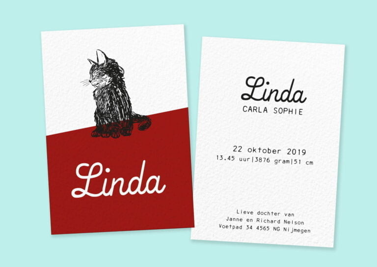 Kitten geboortekaartje