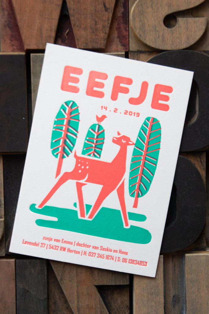 origineel geboortekaartje letterpress colorplan velum white